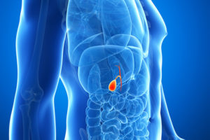 gallbladder and digestive issues